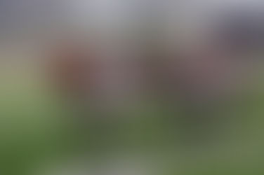 【澤西攻略】霸勝四班坐穩望嬴