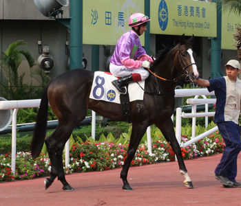 Ryan 重心場次分析 2020/05/03