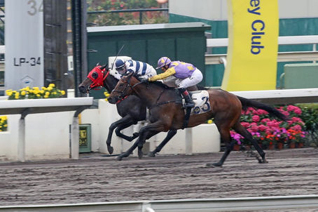 【澤西攻略】八太子 增程都啱跑 