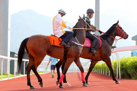 【澤西得啦】綫路勇駒 師徒有望破冰