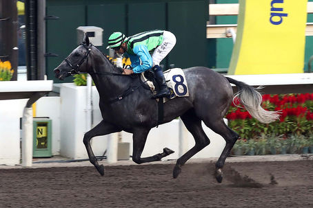 Ryan 重心場次分析 2020/11/04