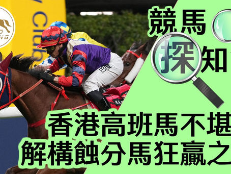 【探知館】 香港高班馬不堪?解構蝕分馬狂贏之謎
