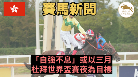 【未必美國】「自強不息」或以三月杜拜世界盃賽夜為目標