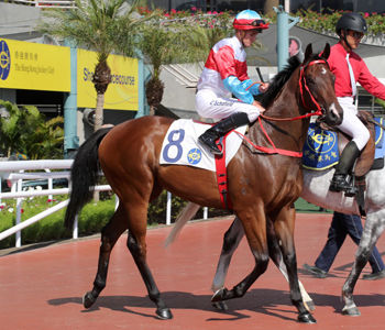 Ryan 重心場次分析 2020/05/17