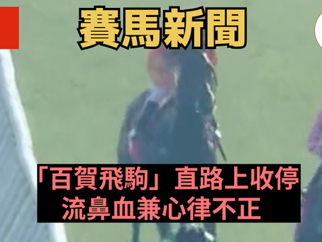 【陣上收停】「百賀飛駒」直路上收停 流鼻血兼心律不正