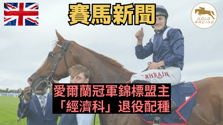 【兩度流鼻血】愛爾蘭冠軍錦標盟主「經濟科」退役配種