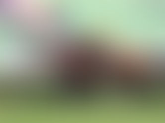 【澤西攻略】川河尊駒 級際賽稱霸