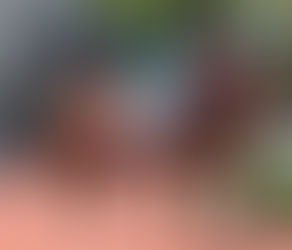 【柏德烈賽馬手記】駿爵士反先有望