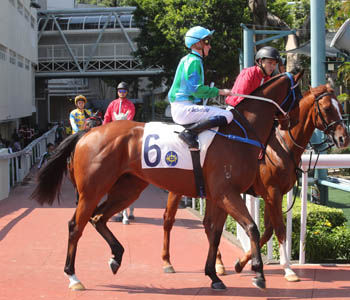 【柏德烈賽馬手記】駿爵士反先有望