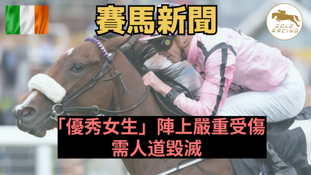 【未能救回】「優秀女生」陣上嚴重受傷 需人道毀滅