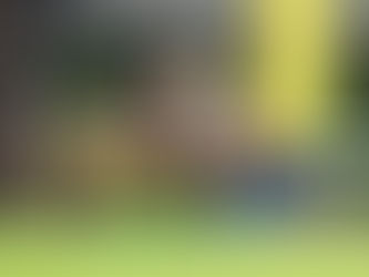 【柏德烈賽馬手記】狄狄仔臨別轉數特別高