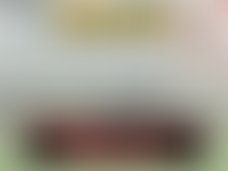 【部署墨盃】日本賽駒Golden Snap準備遠征澳洲