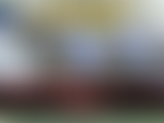 【輸一場即換】珠峰錦標參賽馬Private Harry下仗換人