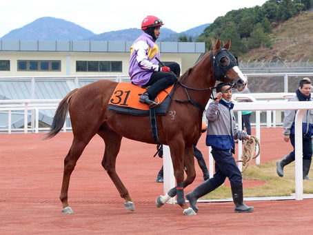 【澤西攻略】洪荒駿駒 盡地一搏