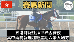 【夜遊杜拜】五港駒報杜拜世界盃賽夜 其中兩駒報埋超級星期六爭入場券
