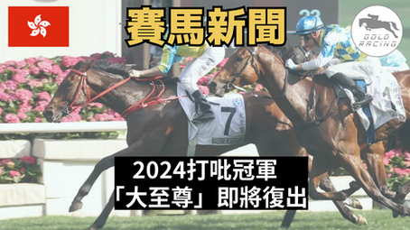 【克服傷患】2024打吡冠軍「大至尊」即將復出