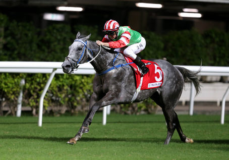 【澤西攻略】喜佳龍  能成大器