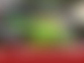 【再見magic man】莫雷拉二度撤銷牌照 到底發生過甚麼事?