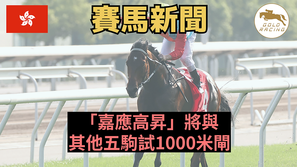 【蘭域試閘】「嘉應高昇」將與其他五駒試1000米閘