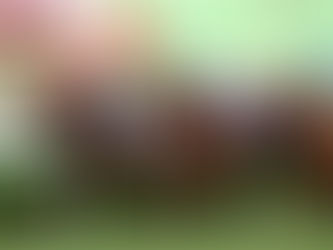 Ryan 重心場次分析 2020/04/12