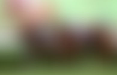 Ryan 重心場次分析 2020/04/12