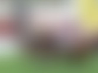 【柏德烈賽馬手記】師徒同心 共創量化歡騰