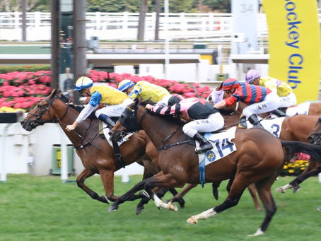 【柏德烈賽馬手記】師徒同心 共創量化歡騰