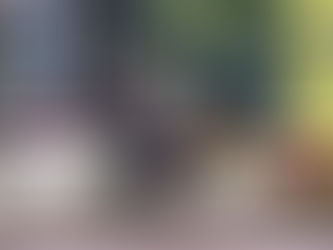 【澤西攻略】精英寶貝 一放到底