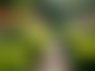 Revitalise Your Garden with Seasonal Garden Maintenance Tips