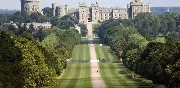 Windsor Great Park.avif