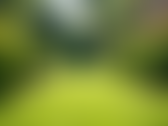 Surrey Garden Maintenance Tips: Top Benefits of Garden Maintenance in Surrey