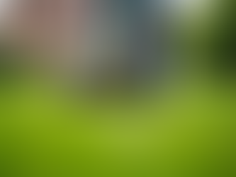 Surrey Lawn Care Solutions: Surrey's Ultimate Guide to Lawn Care