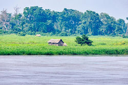 margens do Rio Congo