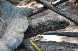 2019 Zanzibar, Tanzânia