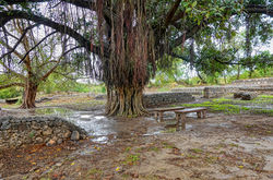 sítio arqueológico de Taxila