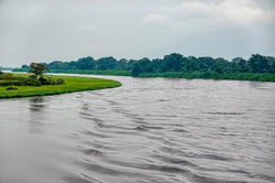 Rio Alima