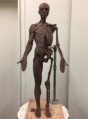 Ecorche