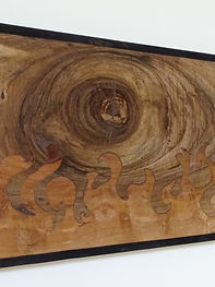 FEU DE BROUSSE SOUS LA LUNE