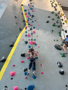 Kids at Gripstone Rock Climbing Gym