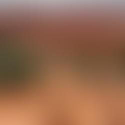 Beautiful views throughout at Lava Flow trail