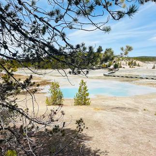 More from Porcelain Basin at Yellowstone National Park