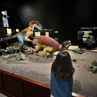 Homeschool field trip at the Museum of the Rockies