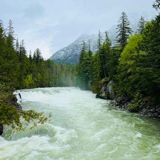 Standing on the bridge at West Glacier
