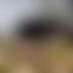 Desert Canyon RV Park campground office