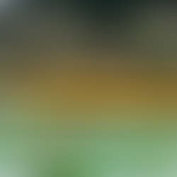 Family fun at Yellowstone Hot Spring