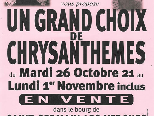 VENTE DE CHRYSANTHEMES