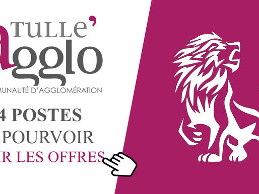 TULLE AGGLO OUVRE 4 POSTES