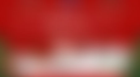 🎄Merry Christmas 2025 & Happy New Year 2026!🎉