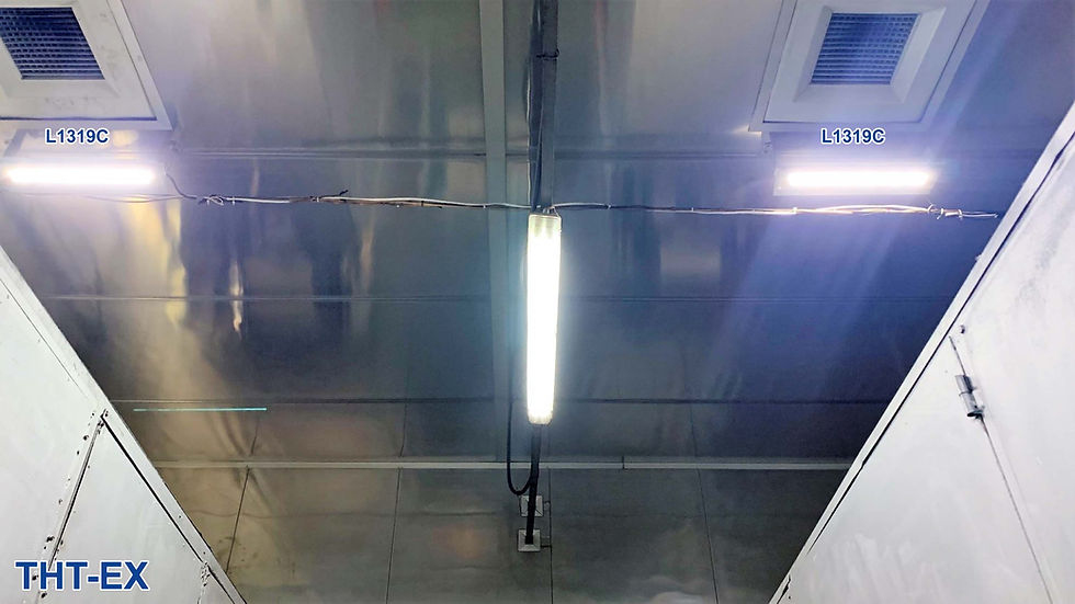 Heat Resistant Lighting_L1319C_THT-EX