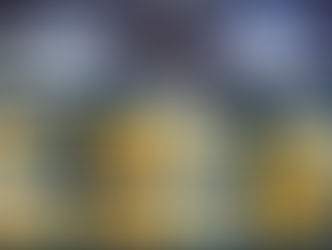 THT-EX Integrated Marine Solution